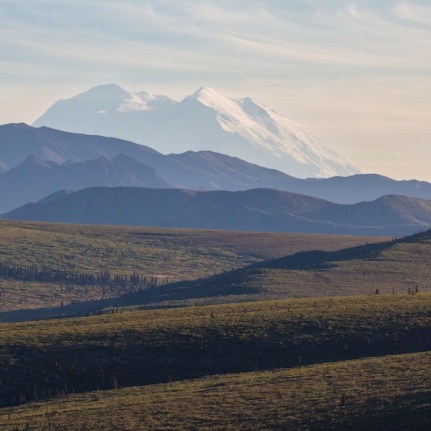 Denali from the Savage River area.