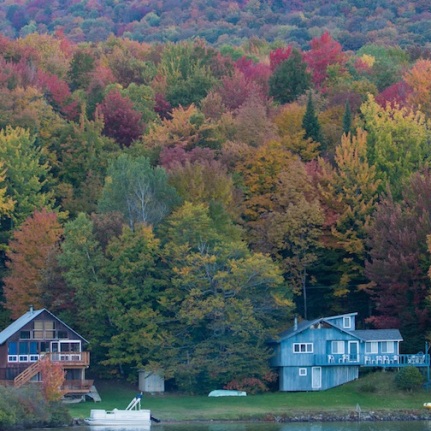 Houses on Lake Elmore