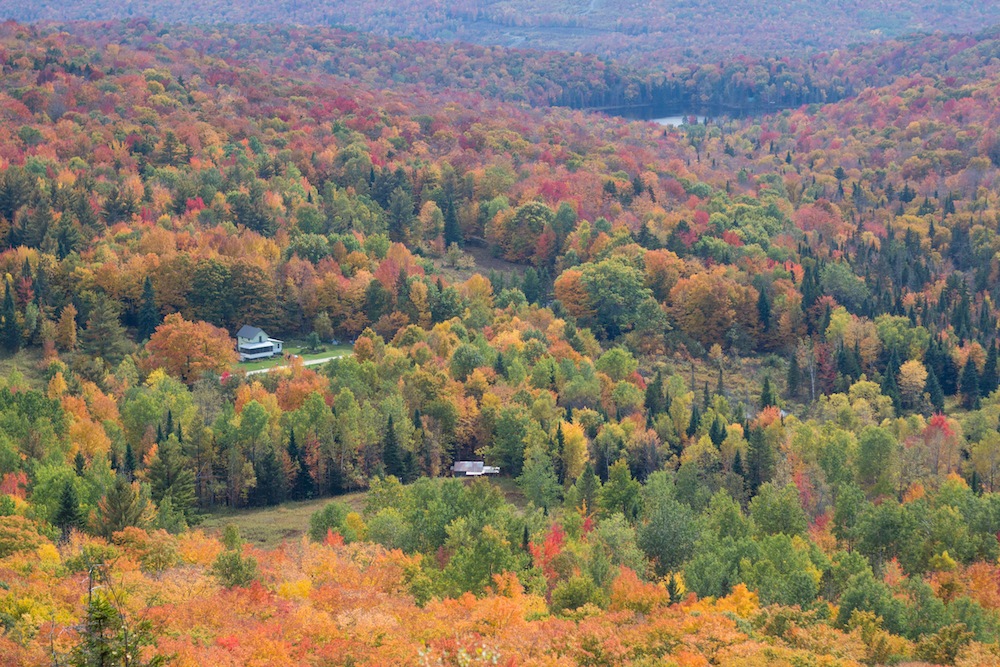 Vermont Peak Foliage