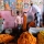 Snapshots from the Malik Ghat Flower Market