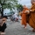 Serendipity in Sammakorn, or Chillin' with Eco-Monks