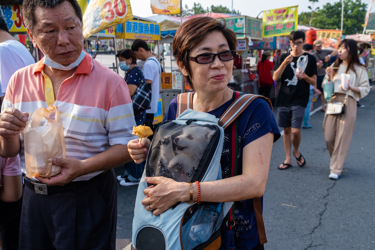 Dog Days of Taiwan – A Canine Photo Essay